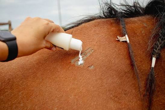 WOUND HEAL CREAM