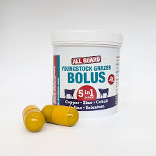 YOUNG STOCK GRAZER BOLUS 25's