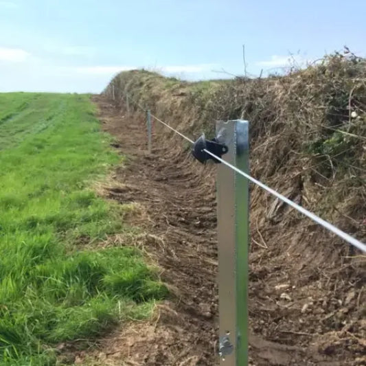 5ft 2 Strand Clipex Post
