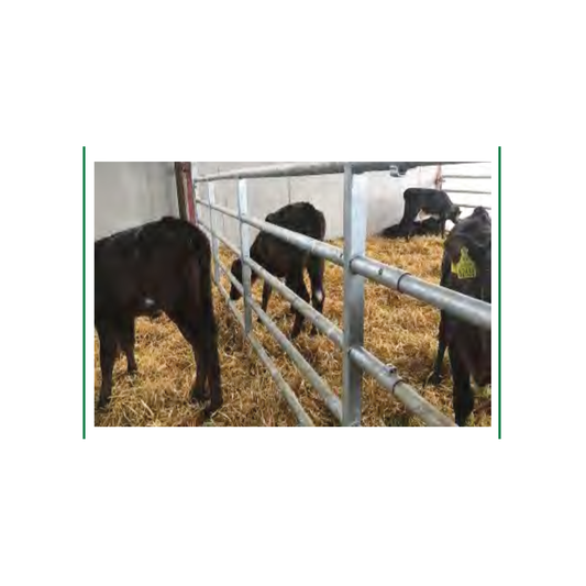 5 Bar Calf Gate Back 10-13ft
