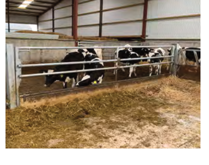Weanling Barrier by Condon Engineering