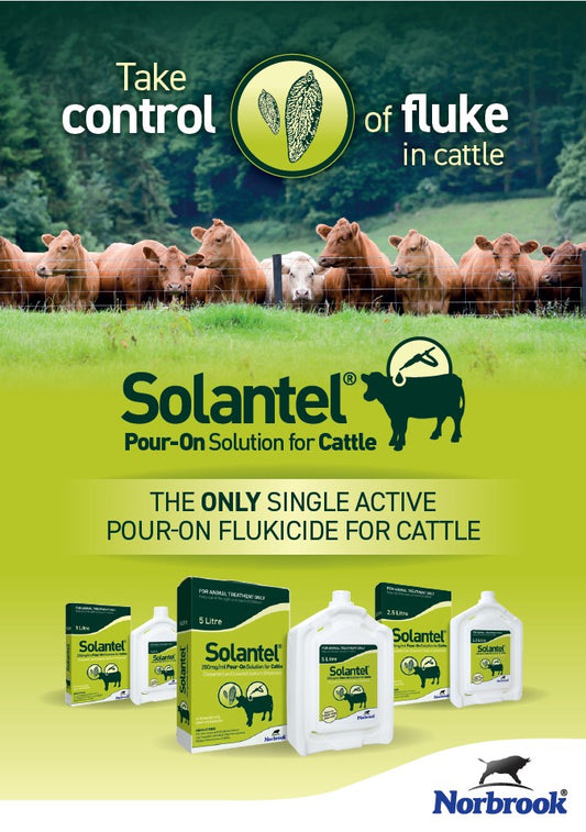Solantel Oral Drench 1 L – parasite management