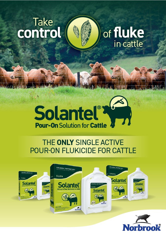 SOLANTEL ORAL DRENCH 2.5LT