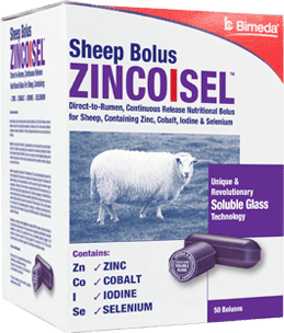 Bimeda ZincoIsel Sheep zinc iodine cobalt selenium bolus 50 pack